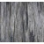 Silver Wood