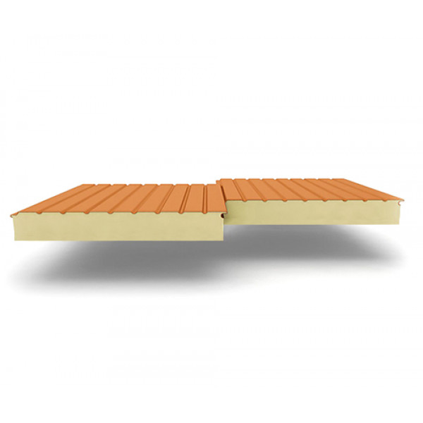 Двухслойные сэндвич-панели из пенополиизоцианурата, ширина 1000 мм, 0.5, толщина 100 мм, RAL2004