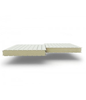 Стеновые сэндвич-панели из пенополиуретана, ширина 1000 мм, 0.5/0.5, толщина 40 мм, RAL9002