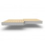 Стеновые сэндвич-панели из пенополистирола, ширина 1200 мм, 0.5/0.5, толщина 100 мм RAL1014