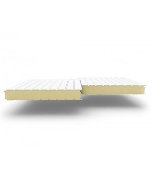 Стеновые сэндвич-панели из пенополиуретана, ширина 1000 мм, 0.5/0.5, толщина 100 мм RAL9003