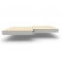 Стеновые сэндвич-панели из пенополистирола, ширина 1200 мм, 0.5/0.5, толщина 120 мм, RAL1015