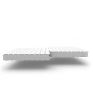 Стеновые сэндвич-панели из пенополистирола, ширина 1000 мм, 0.5/0.5, толщина 175 мм, RAL9003