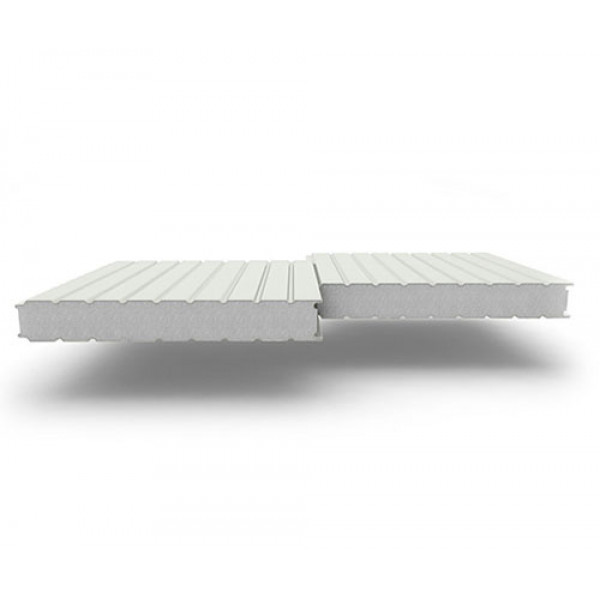 Стеновые сэндвич-панели из пенополистирола, ширина 1000 мм, 0.5/0.5, толщина 60 мм, RAL9002