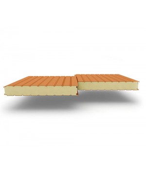 Стеновые сэндвич-панели из пенополиуретана, ширина 1000 мм, 0.5/0.5, толщина 100 мм RAL2004