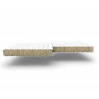 Стеновые сэндвич-панели из минеральной ваты, ширина 1200 мм, 0.5/0.5, толщина 100 мм RAL 9003
